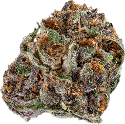 Winter Truffle